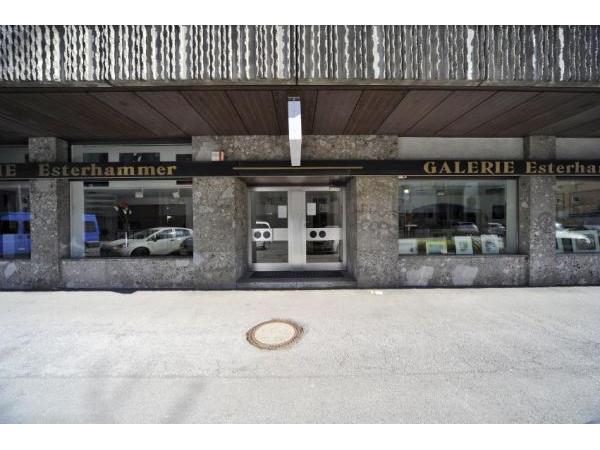 Bild 1 von Galerie Esterhammer