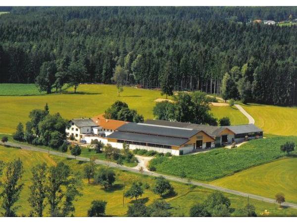 Ebenes Betriebsbauland in Lasberg - Widmung MB - 4291 Lasberg: das Gemtliche Single-Eigentumswohnung zum sanieren - Hier wartet Ihr Projekt. immobilien haus lasberg - IMMMO