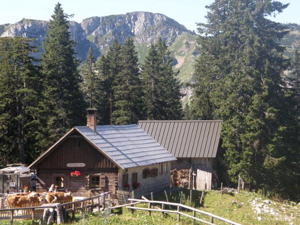 Bild 4 von Ferienhaus Hintereck - Urlaub im Troadkost'n