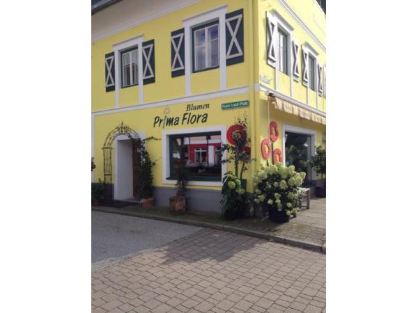 Bild 2 von Prima Flora - Monika Huber