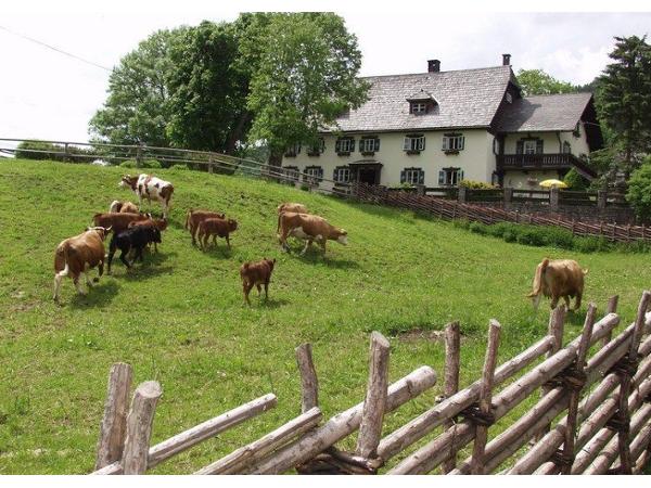 Bild 8 von Pension Kobichl - Urlaub am Baby- u. Kinderbauernhof