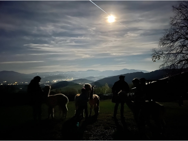 Bild 7 von Zottlerhof - Bio . Alpakas . Kräuter . Spinnräder . Auszeithof