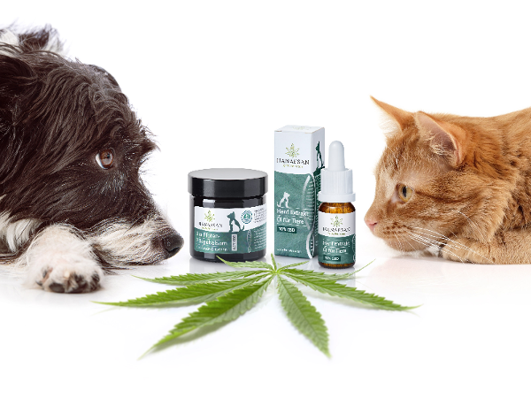 Bild 7 von HANAFSAN CBD Store