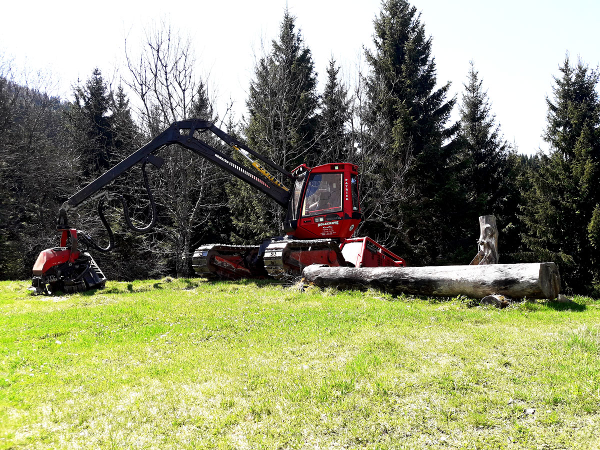 Bild 26 von Holzernte KraWe GmbH & Co KG