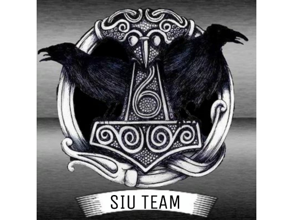 Bild 1 von SIU Team - Special Investigation Unit