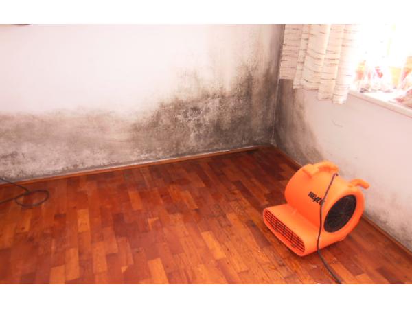 Bild 1 von Brugger Wasser - und Brandschadensanierung, Roland Brugger