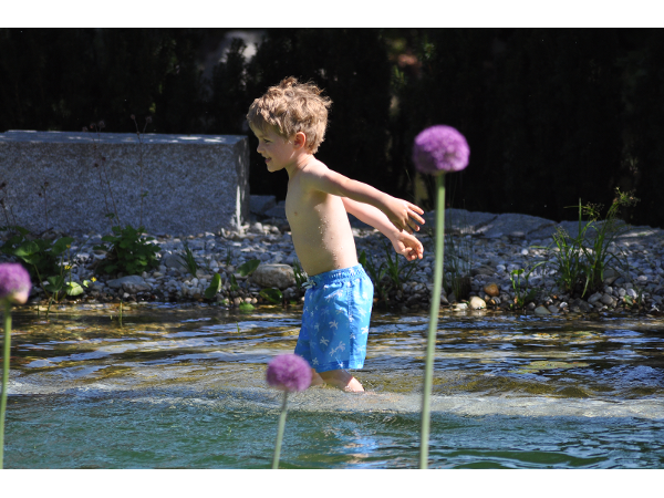 Bild 24 von Schwimmteich & Gartengestaltung Matheis KG
