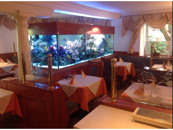 Bild 5 von ASIA RESTAURAUNT WOK Chen Songying KG