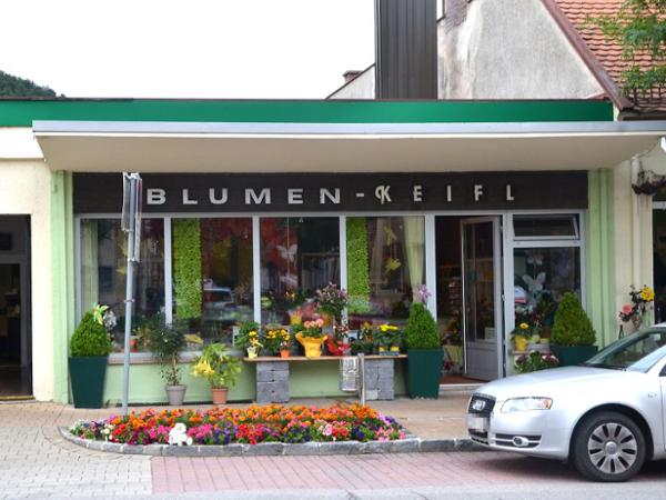 Bild 1 von Keifl Blumen OG