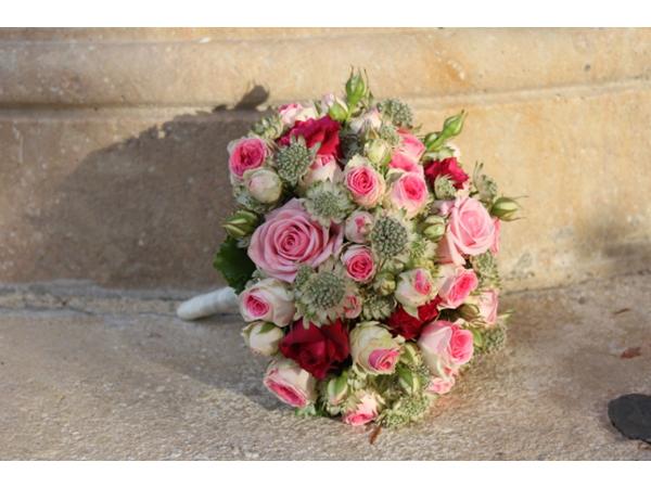 Bild 6 von Blumen Neuhauser