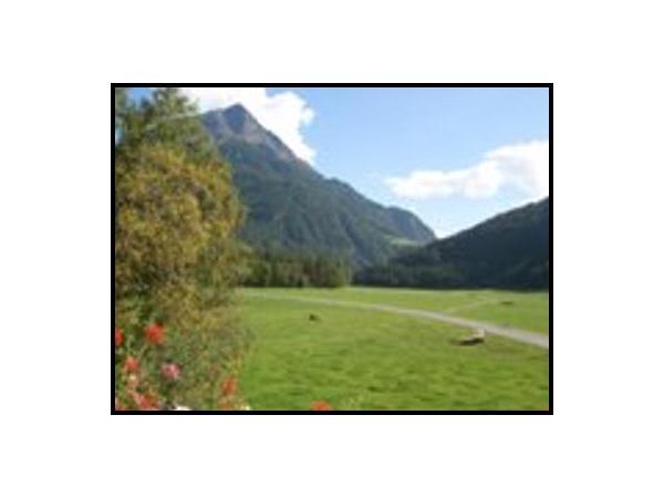 Bild 2 von Hauseggerhof - Monika u Georg Hausegger