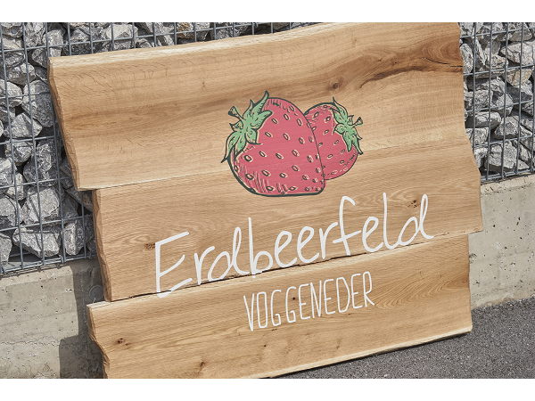 Bild 11 von HERR STEINDL GmbH