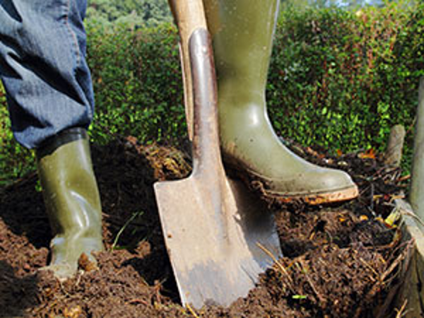 Bild 7 von Gartengestaltung Mag. Roman Fuchs