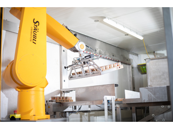Bild 16 von Dessl Maschinenbau GmbH