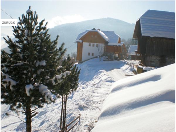 Bild 5 von Bauernhof - Carmen und Heinz Rauter