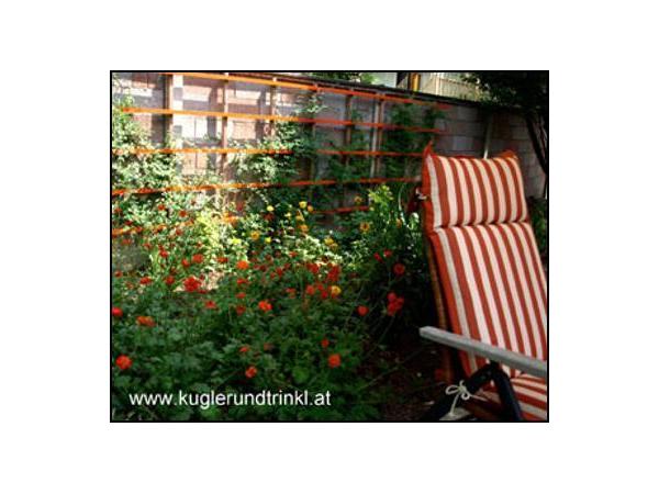Bild 4 von kugler & trinkl