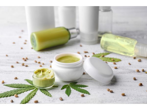 Bild 7 von Cultiva Hemp Expo GmbH