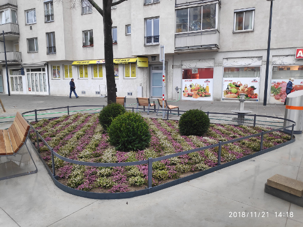 Bild 31 von Steinbauer Garten- und Landschaftsgestaltung GmbH