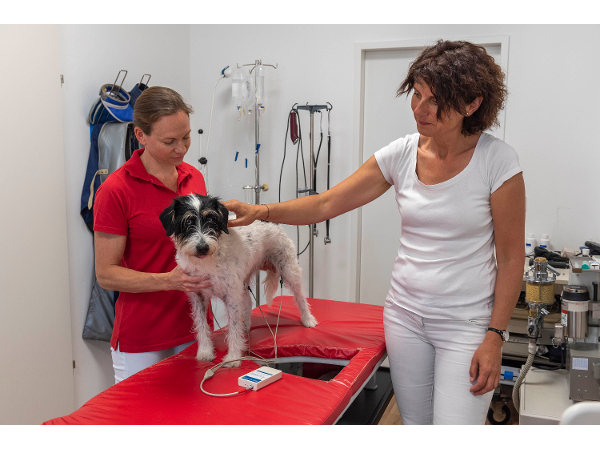 Bild 2 von Mag. med. vet. Sobotta-Ehmsen Dagmar