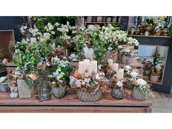 Bild 190 von Gartenbau-Blumen Helmut Friedl