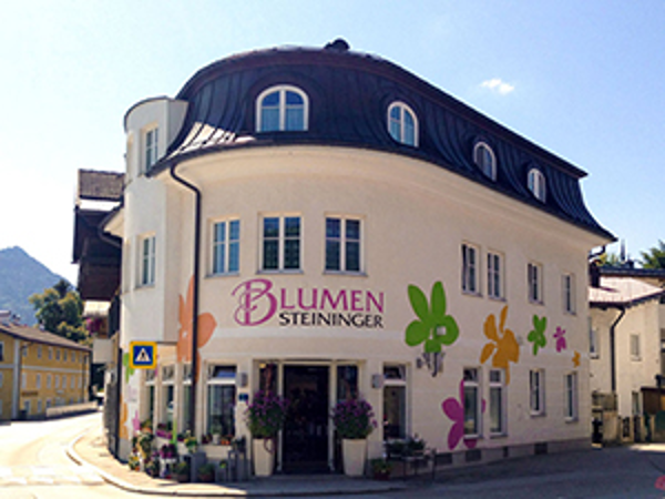 Bild 15 von Blumen Steininger