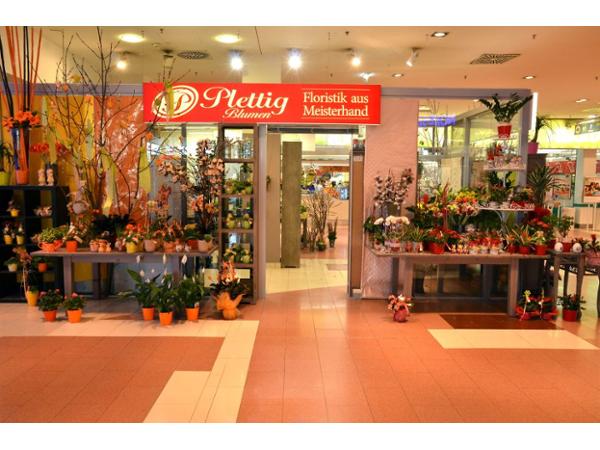 Bild 1 von Blumen Plettig