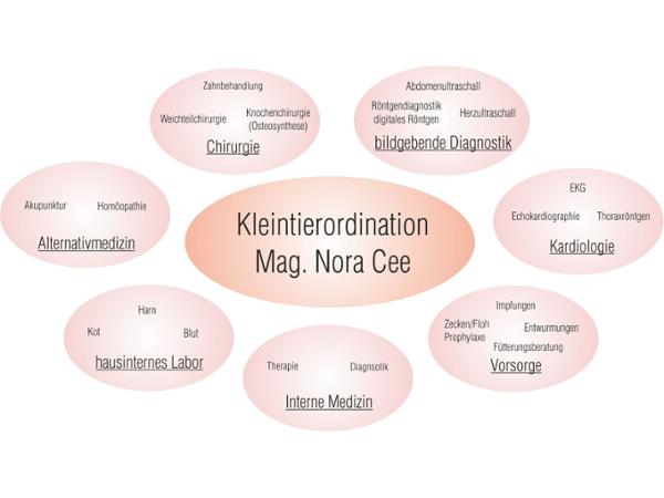 Bild 2 von Kleintierordination Mag. Nora Cee