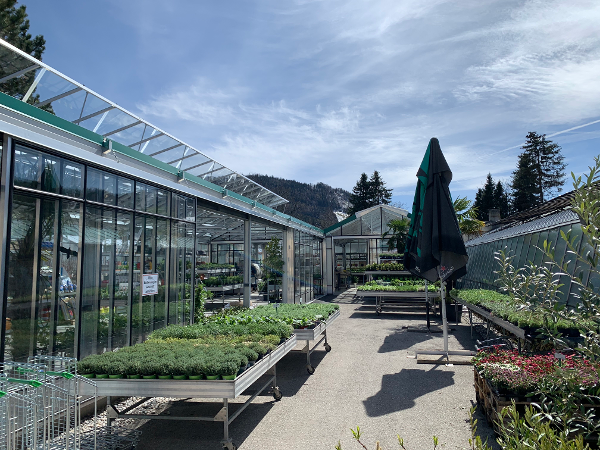 Bild 6 von Käfer KG - Gärtnerei und Floristik