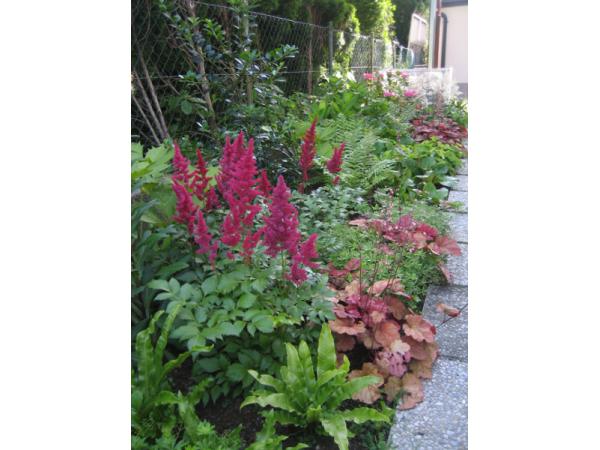 Bild 10 von Blumen und Garten Veronika Schmeikal OG