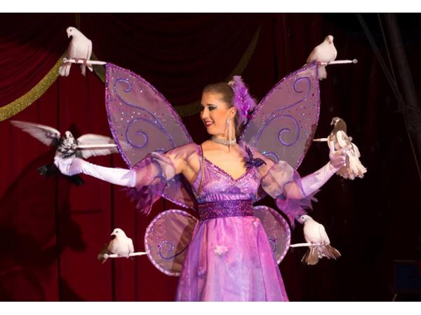 Bild 3 von CIRCUS PIKARD