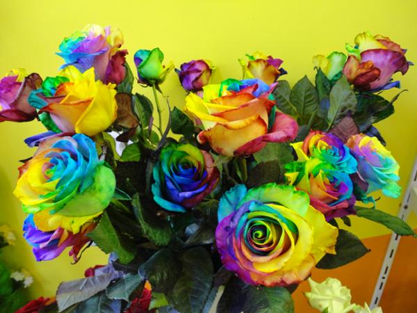 Bild 1 von MAXI Blumen