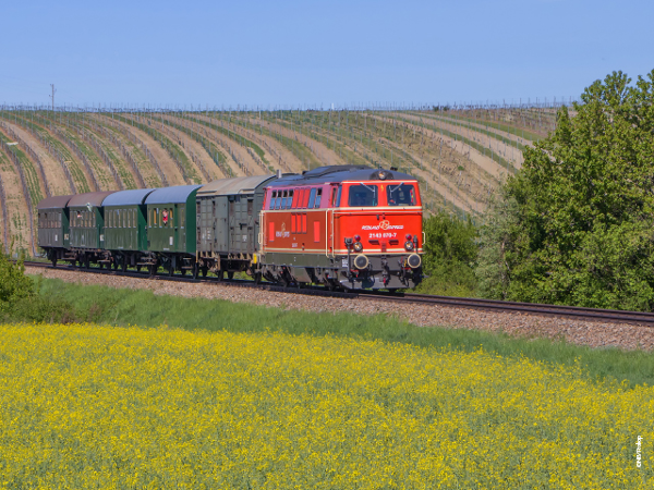 Bild 4 von Reblaus Express