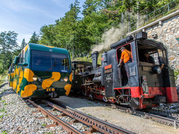 Bild 3 von Niederösterreich Bahnen GmbH