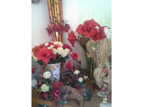 Bild 3 von Blumen Claudia