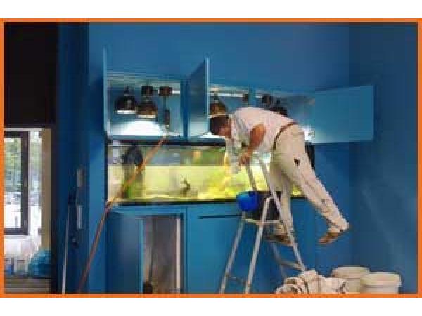 Bild 6 von Aquarium Doc