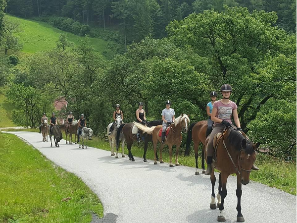 Bild 11 von Reitergut Weissenhof - Fam Veits