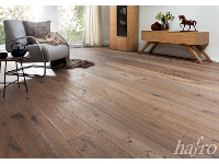 HAFRO Holzagentur GmbH