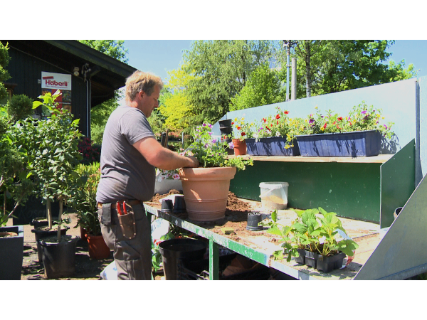 Bild 20 von Baumschule und Gartengestaltung Prötzner