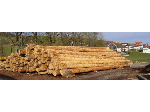 Bild 6 von Hager Georg
