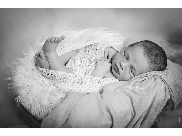 Bild 5 von Ildiko Posch Photography