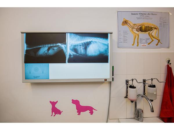 Bild 7 von Tierambulanz Tieresianum