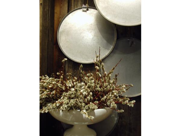 Bild 6 von Blumen Egger - Meisterfloristik