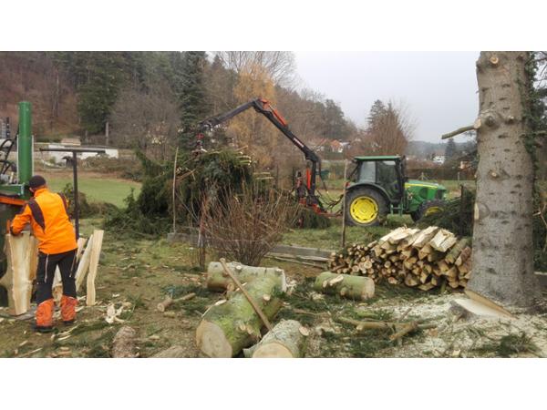 Bild 2 von Wetz Service für Haus und Garten