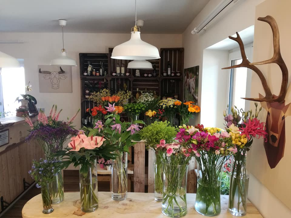 Bild 14 von blumenzeit - Anneliese Mahl