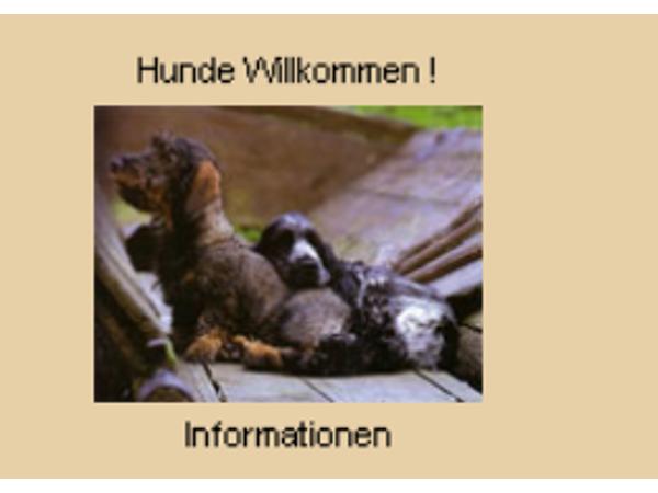 Bild 11 von Frühstückspension Theresia