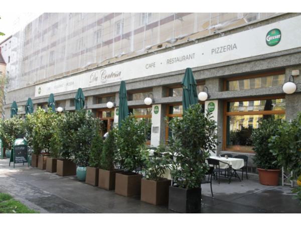 Bild 1 von Da Contessa 19