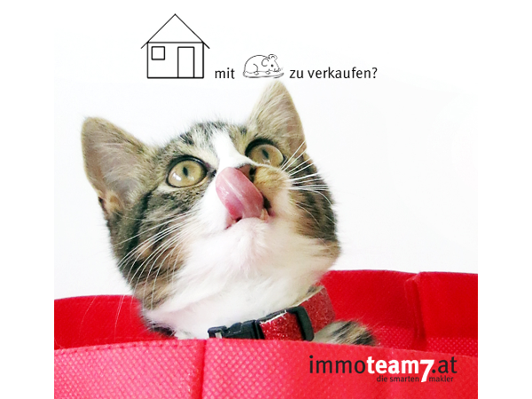 Bild 4 von immoteam7 ITS GmbH