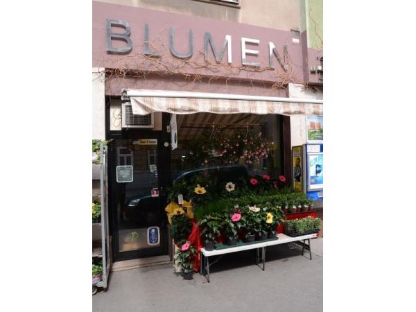 Bild 1 von Unser Blumen G'schäft