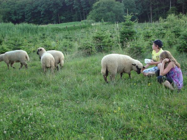 Bild 11 von Urlaub am Bauernhof Anna & Martin Grain