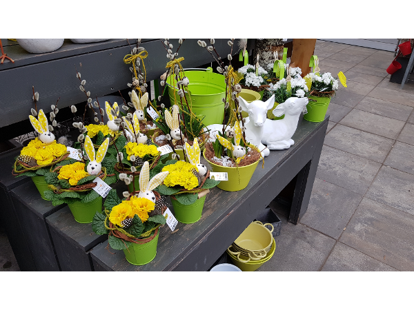 Bild 104 von Gartenbau-Blumen Helmut Friedl